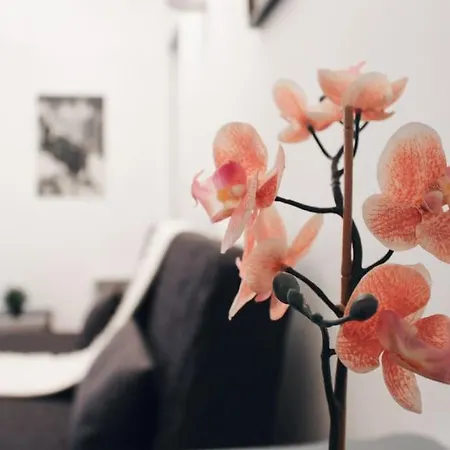 Apartment Levis Lovely Flat Paris
